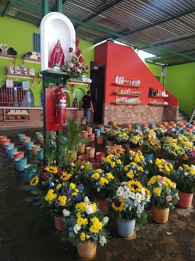 Fachada de Floristería Puerta del Este 2319